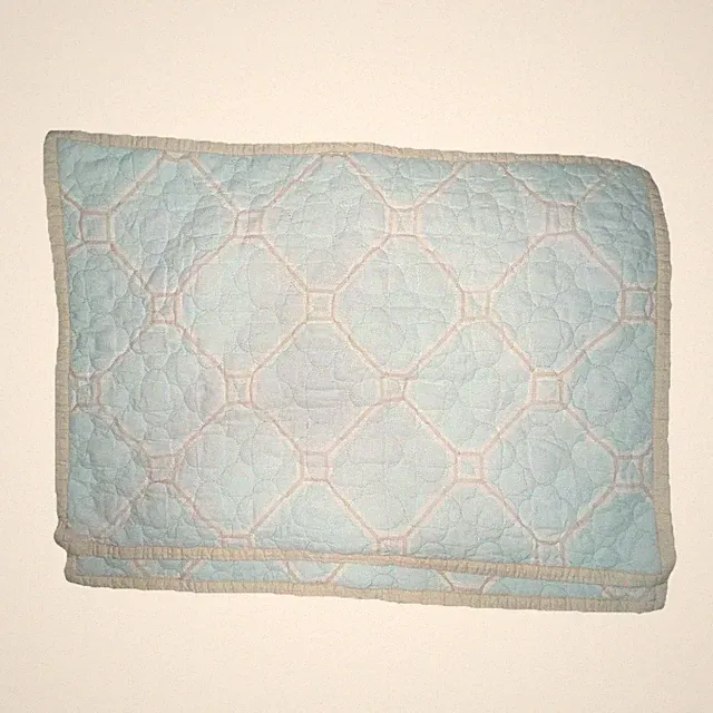 Set Of 2 Kate Spade "Aqua/Taupe Moroccan Trellis" Quilted Standard Pillow Shams
